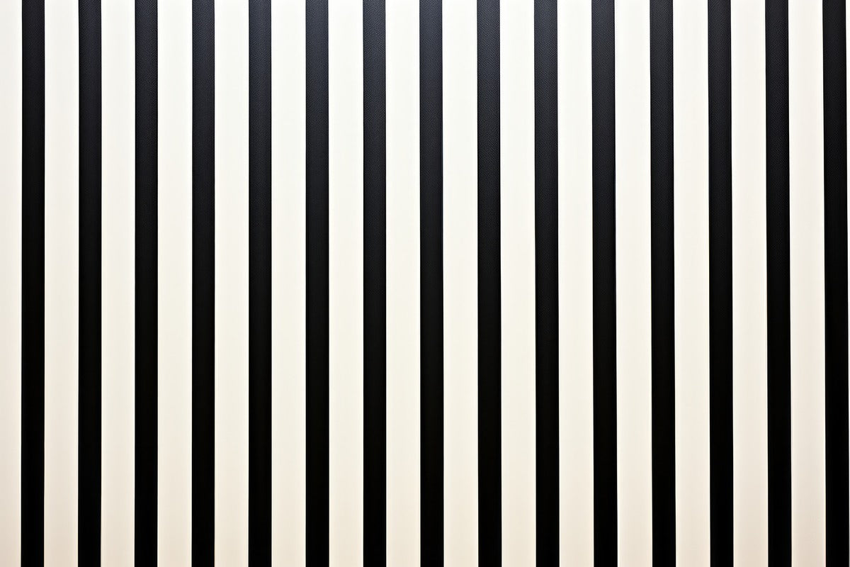 Papier Peint Minimaliste - Lignes Noir Et Blanc