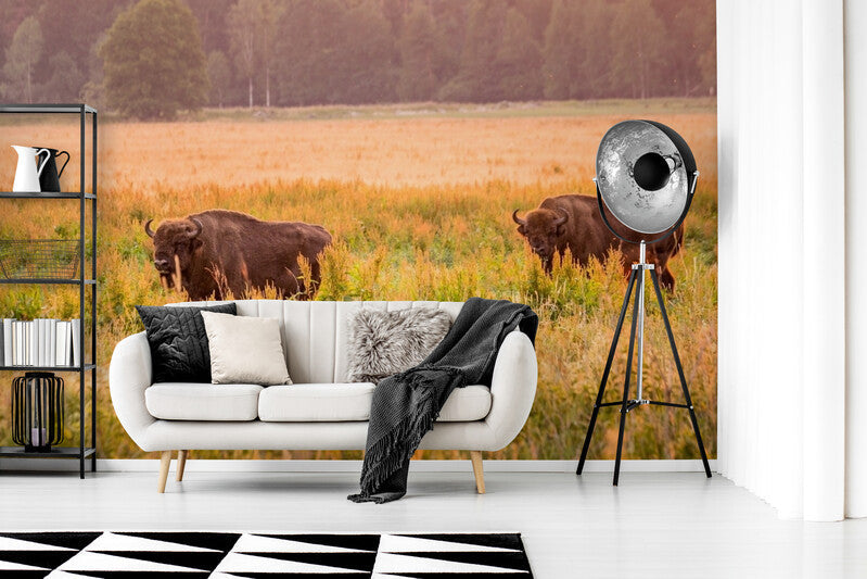 Papier Peint Nature - Prairies Et Bisons