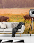 Papier Peint Nature - Prairies Et Bisons
