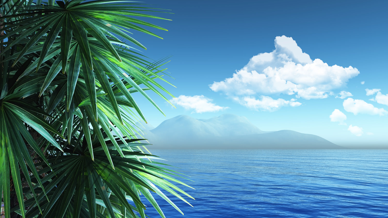 Tropical wallpaper – palm trees and calm sea
