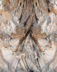 Papier peint Matière – Texture bois brut beige relief