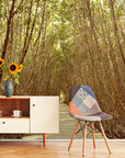 Papier Peint Nature - Chemin En Forêt De Bambous