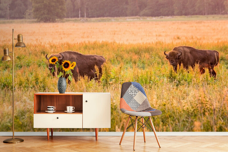 Papier Peint Nature - Prairies Et Bisons