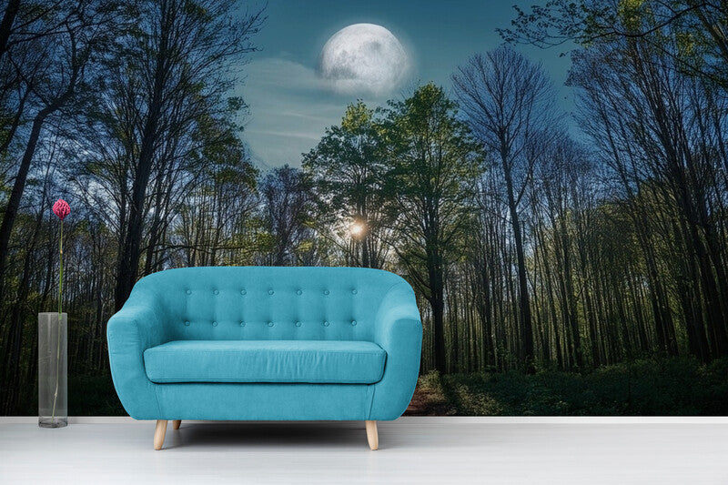 Papier Peint Paysage - Pleine Lune À Travers La Forêt