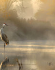 Papier peint animaux - grues cendrées au bord de l'eau