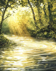 Papier peint cascades - torrent illuminé sous bois