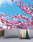 Papier Peint Nature - Ciel Bleu Et Branches De Cerisiers En Fleurs
