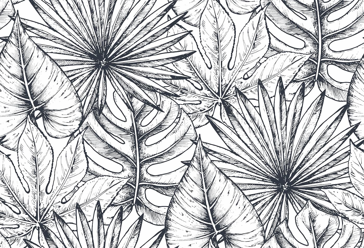 Black and White Wallpaper - Tropical Leaf Sketch