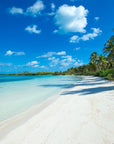 Papier Peint Panoramique - Plage De Sable Fin