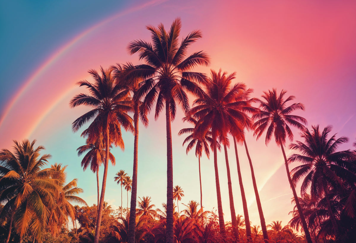 Papier peint tropical - Palmiers sous un ciel rose au coucher du soleil