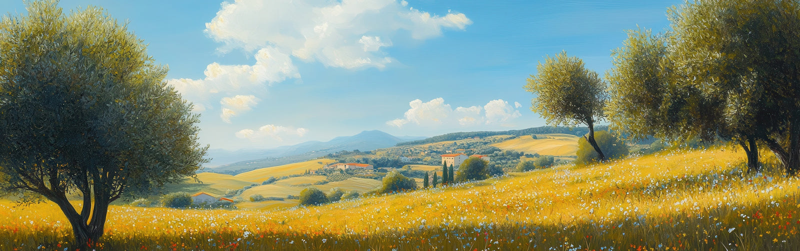 Papier peint campagne - horizon d'oliviers et herbes folles