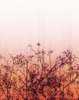 Nature wallpaper – Silhouette of plants against an orange sky
