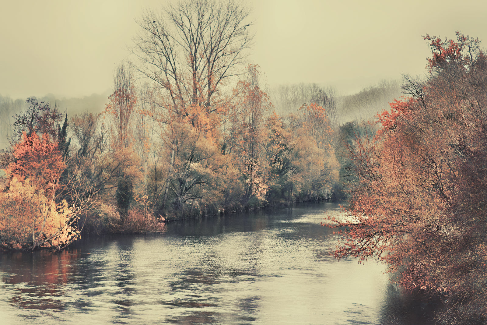 Nature Wallpaper – Calm River in Autumn Forest