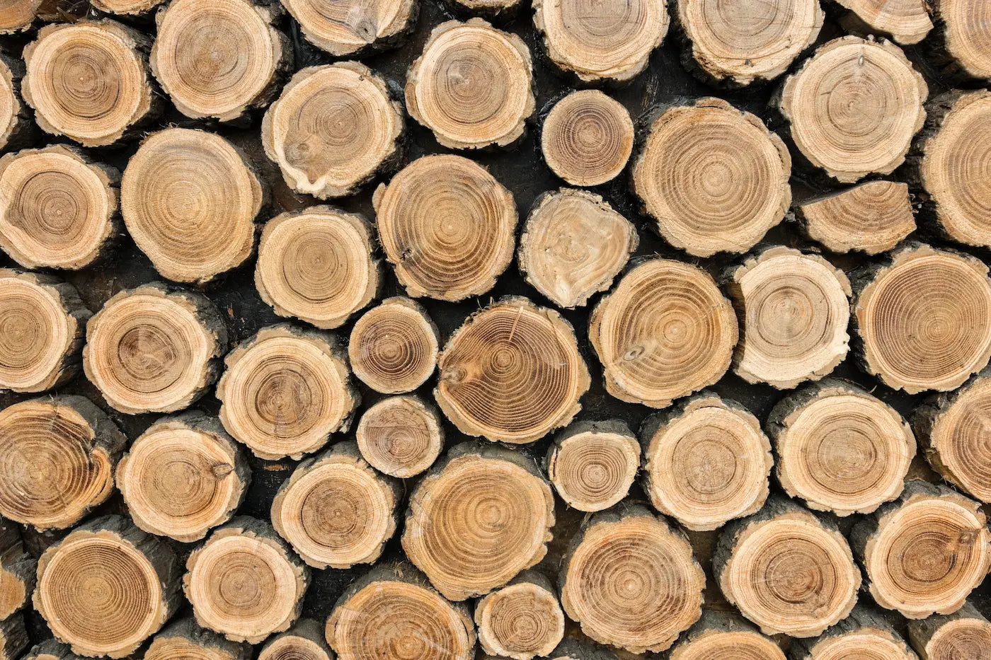 Wood Wallpaper - Stacked Logs