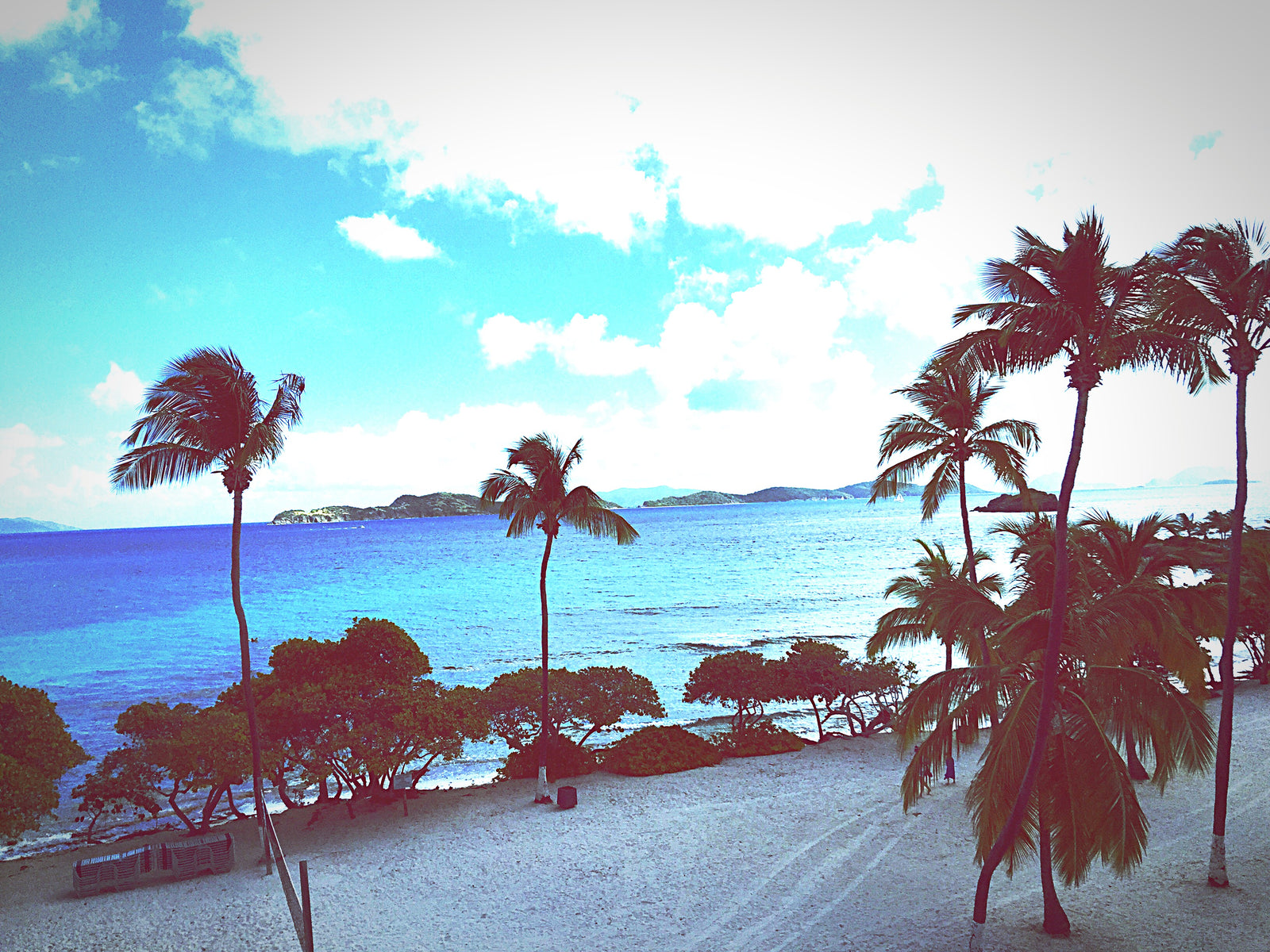 Tropical Wallpaper – White Sand Beach and Palm Trees