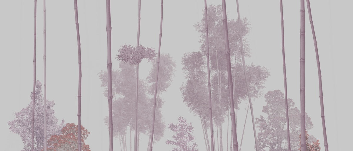 Papier peint nature - silhouettes de pins dans la brume