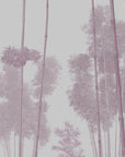 Papier peint nature - silhouettes de pins dans la brume
