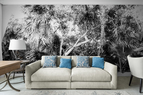 Black and White Wallpaper - Contrasting Jungle