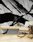 Papier Peint Abstrait - Craquelure Noir Et Blanc