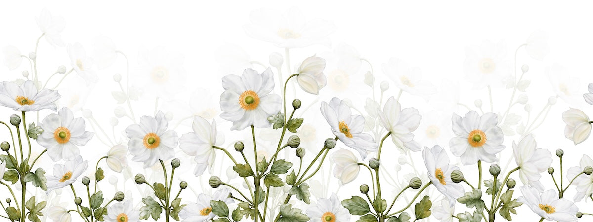 Papier peint fleuri - tapis de marguerites blanches
