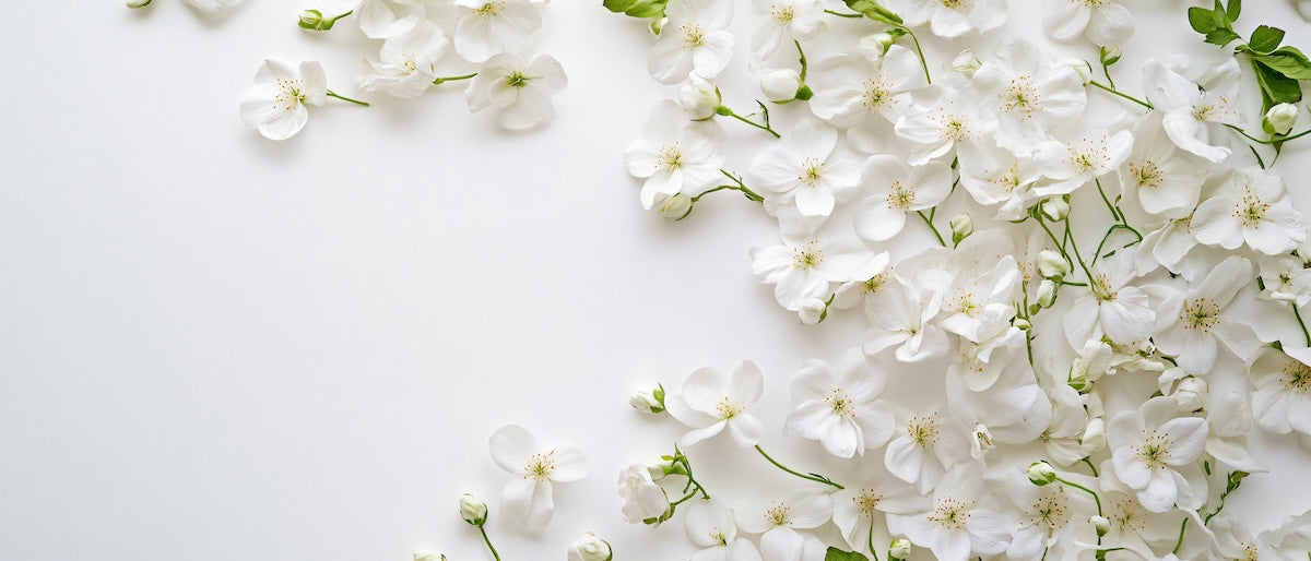 Papier peint fleuri - pétales blancs sur fond crème