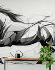 Papier Peint Illustration - Cheval Noir Et Blanc