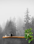 Papier Peint Noir Et Blanc- Forêt Paisible