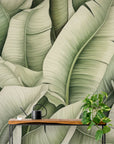 Papier Peint Exotique - Feuillage Vert Tropical